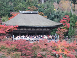 奥の院は、江戸時代初期の重要文化財。