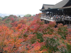 奥の院から「本堂」また京都市街も一望できる。