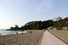 桂浜公園として砂浜に整備された遊歩道