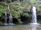 「陣馬の滝」 の湧水