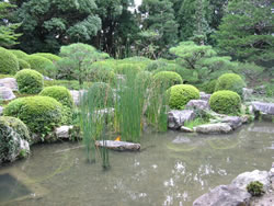 丹波の名庭と伝わる池泉築山式の庭園がある。