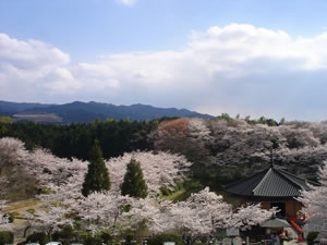 高台にある稲荷神社からの眺めは絶景です。