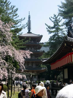 現存する京都最古(951年)の建築