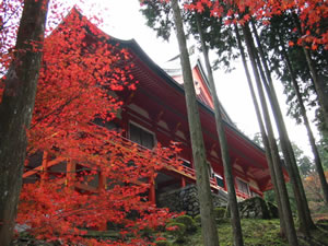 横川中堂と真っ赤な紅葉