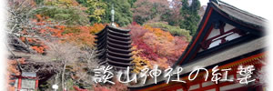 談山神社の紅葉