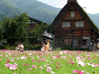白川郷