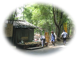 竹やぶの参道には朝掘りの筍を販売！