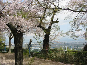 見晴台から京都市内が一望できます。