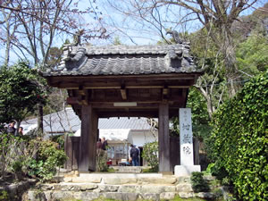 �n���T�@�͌����炵�̗ǂ�����ɂ���܂��B