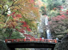 箕面の滝と色鮮やかな紅葉