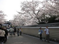 ���m���̍�