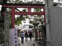 ������䗅�{��