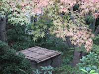 「お茶室」芳松庵の庭