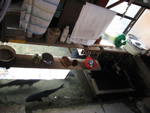 ���΂��i��[�j