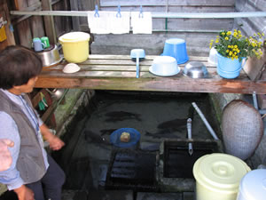 ���΂��i��[�j