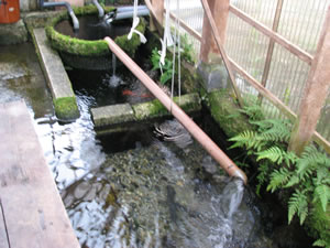 ���΂��i��[�j