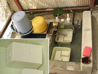 �㌴�����X�u�����Ĕ������������ł����B�v