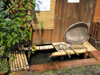 ���{�����S�I