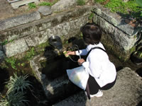 正伝寺の飲み水