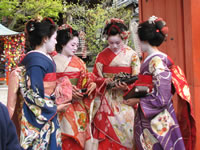 観光客が舞妓姿で京の町を散策