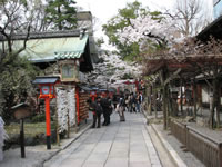 ������䗅�{�̋���