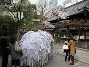 ���؂艏���є�