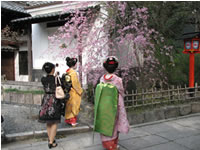 �ό��q�����W�p�ŋ��̒����U��