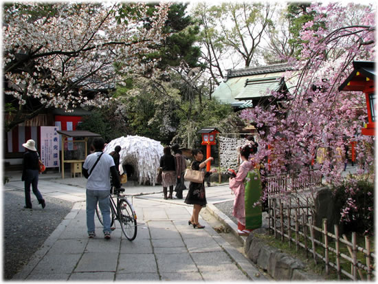 ������䗅�{�̋���