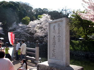 琵琶湖八景の石碑「彦根の古城」