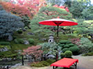旧竹林院の庭園 旧竹林院の庭園