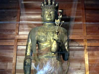 �؏\��ʊω���F����