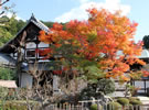瑞巌山「圓光寺」 瑞巌山「圓光寺」
