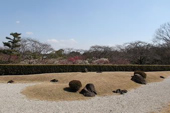 茶室「千里庵」は、日本庭園内のお茶室です。
