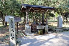 ）磯清水（日本名水百選に選ばれている「磯清水」は四方を海に囲まれた場所にもかかわらず少しも塩味を含んでいないことから古来不思議な名水とし、「長寿の霊泉」とされています。