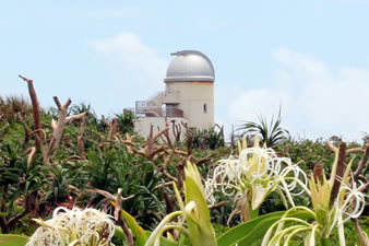 波照間島星空観測タワーとハマユウの花