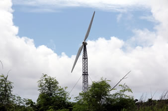 沖縄電力の「可倒式風車」は、台風が来たら風車を倒して強い風を避けます。
