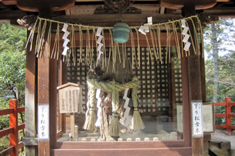 宮本武蔵の決闘の時代の前から昭和20年頃まで生きた一乗寺下り松の大木の一部が、神社境内の本殿の西側に大切に祀られています。