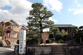 掛菼
