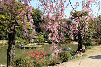 平安末期の池泉回遊式浄土庭園