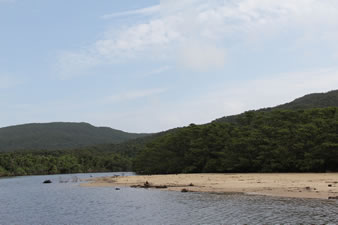 仲間川は全長17.5km。