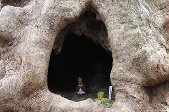 大アカギの根元には自然の祠ができ、中には仏像が祀られています。