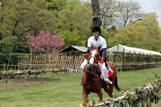 葵祭りに先立ち5月1日には「競馬会足汰式」5日には「賀茂競馬（かもくらべうま）」が行われ、只今練習中です。