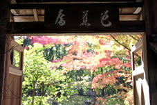 芭蕉庵の門と紅葉