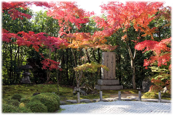 金福寺「本堂庭園の紅葉と石碑」
