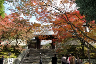 「勅使門」は、高い石段の上に西に面して立つ曼殊院の正門 。