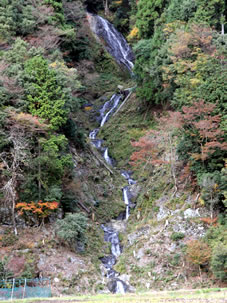 「蓮如の滝」は、美山町内久保にあり、水量は少ないが、落差63mがあって美しい滝です。