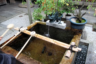 境内には、京の名水「錦の水」が地下から湧き出ています。