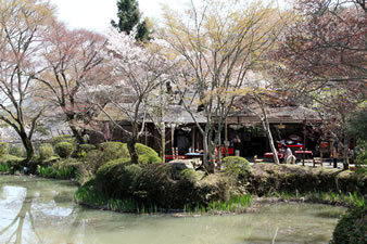 奈良・猿沢の池を模して作られた「鯉沢の池」と「春日乃茶屋」