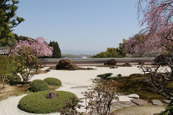 宝生殿から遠く東山連峰と京都市街を望む借景式の山水庭園
