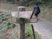 菅島灯台への遊歩道（約30分）